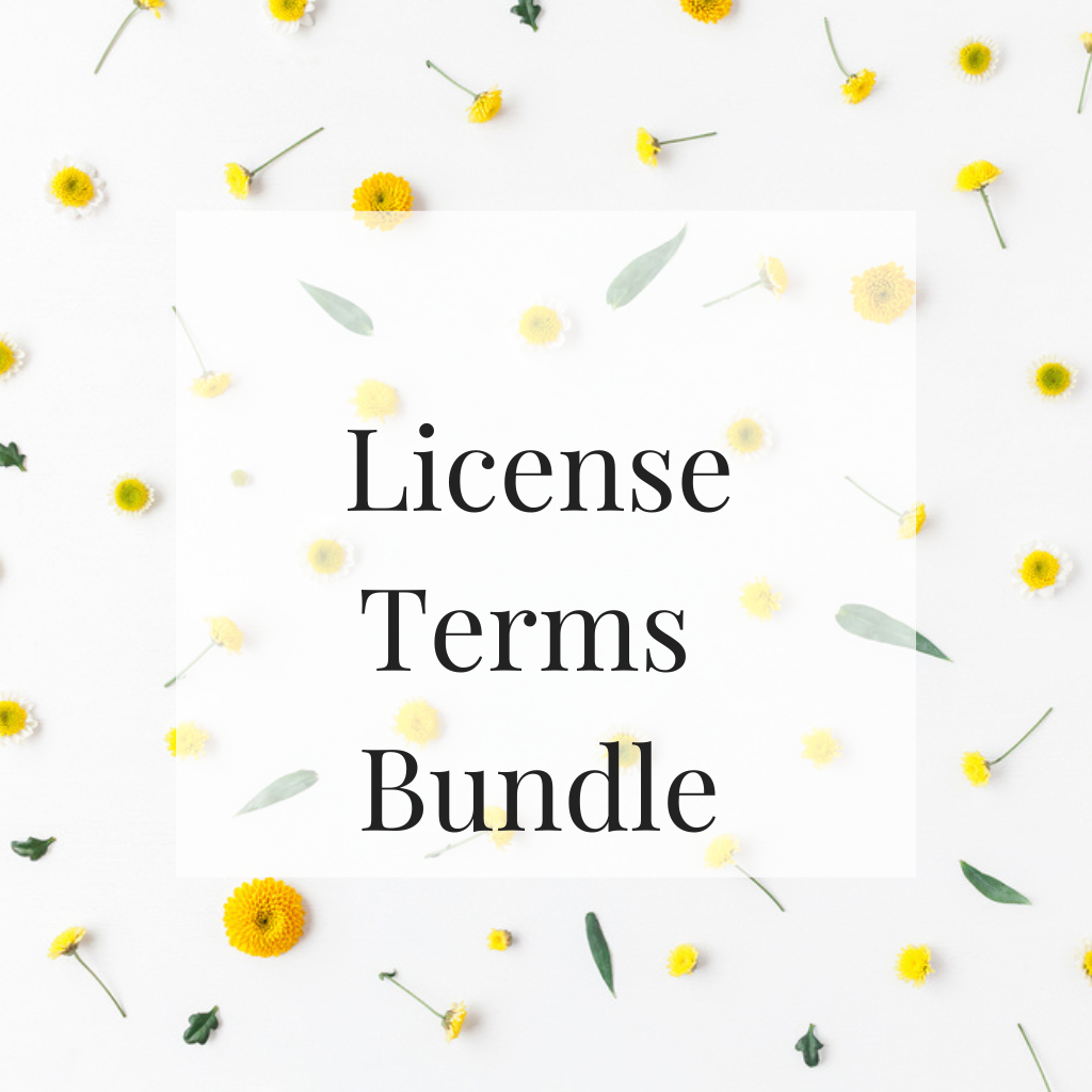 License Terms