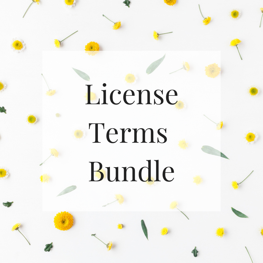 License Terms