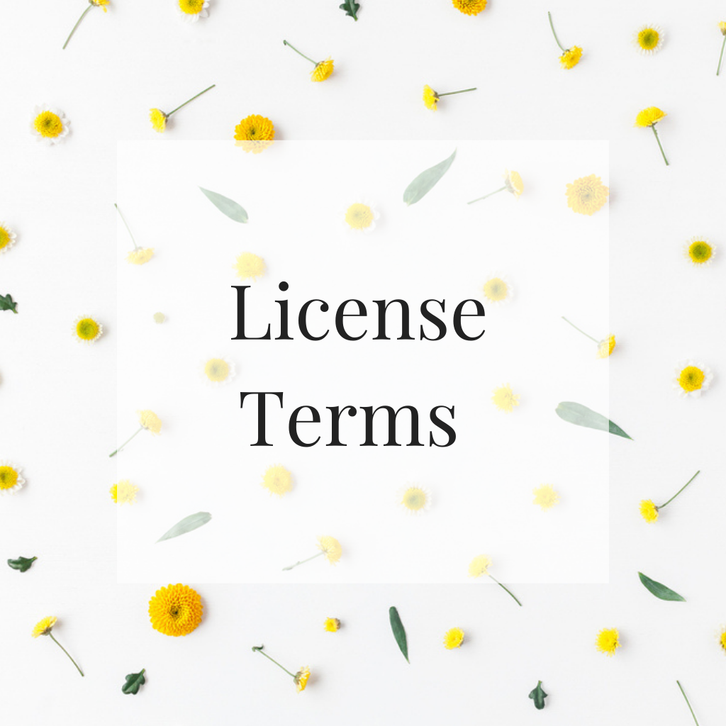 License Terms